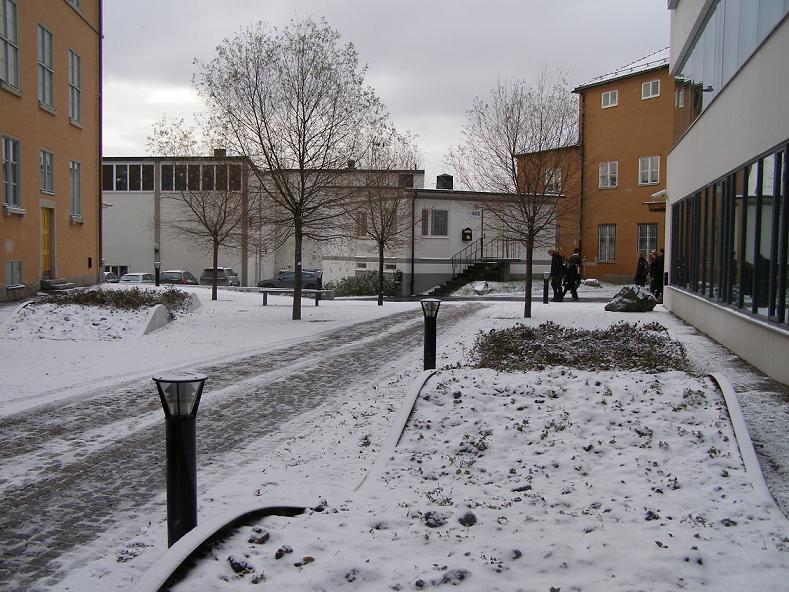 1stsnow.jpg
