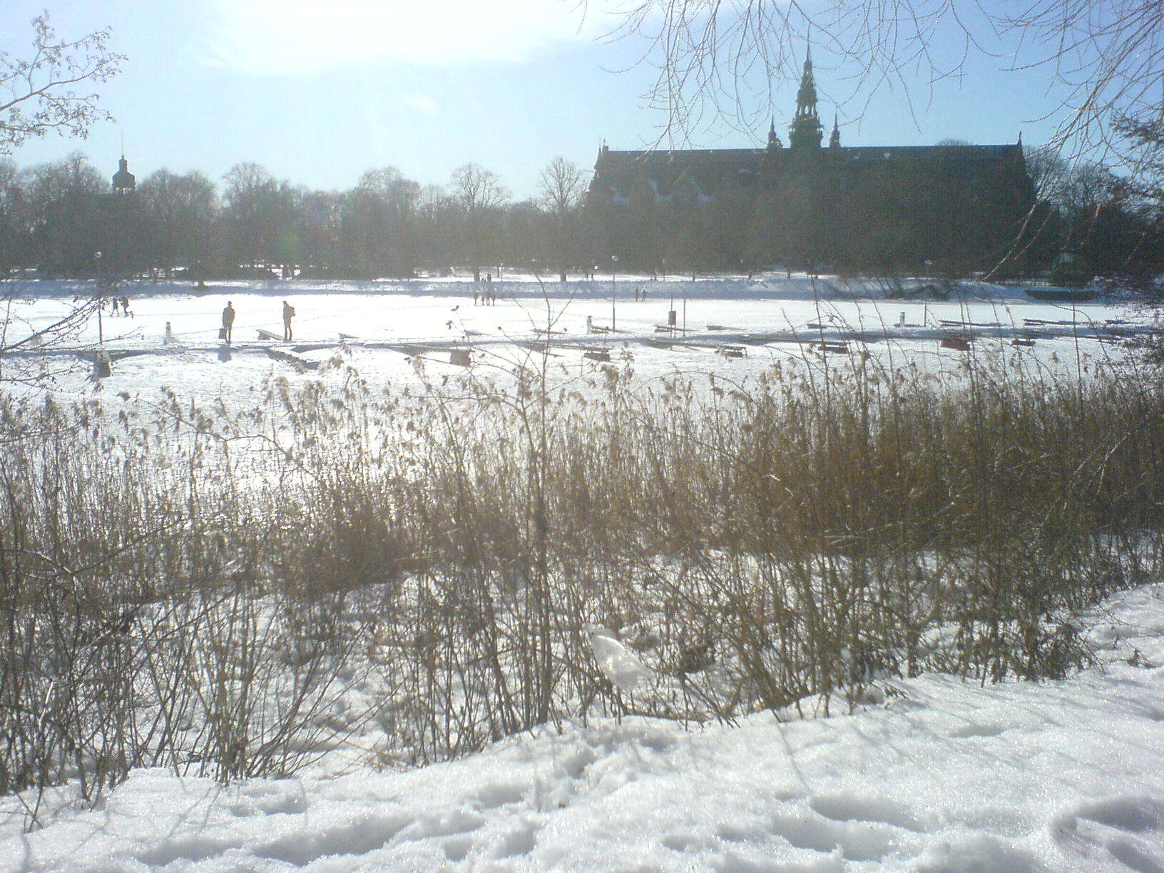 DSC00206.jpg