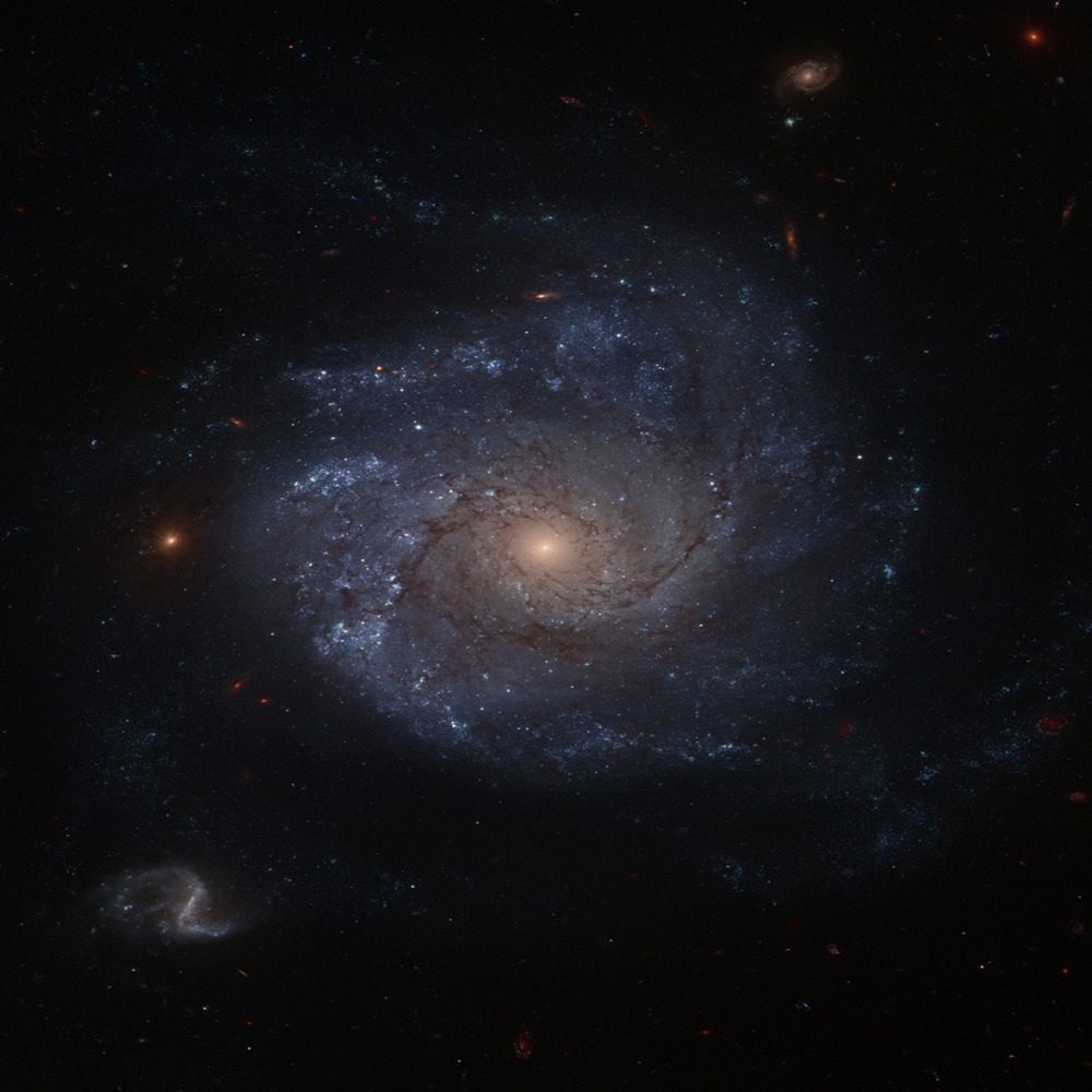 ngc1309p.jpg