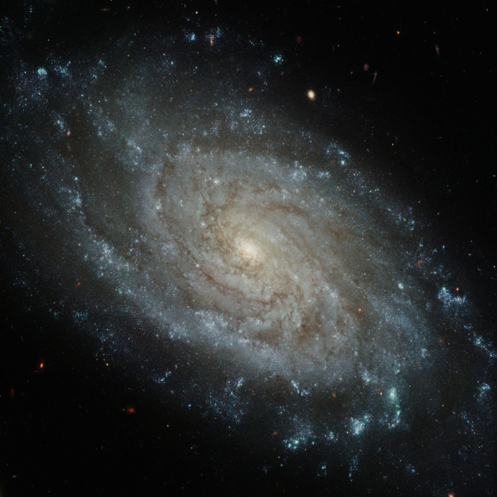 ngc3370p.jpg