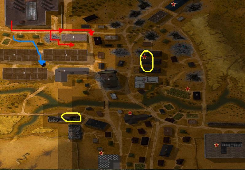 D5.jpg