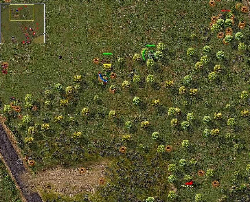tigert34fight.jpg