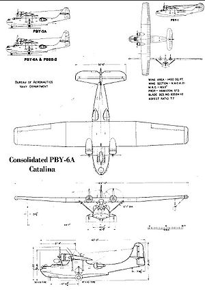 Catalina.jpg