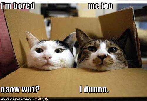 funnypict..rebored.jpg