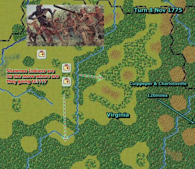 T8.jpg