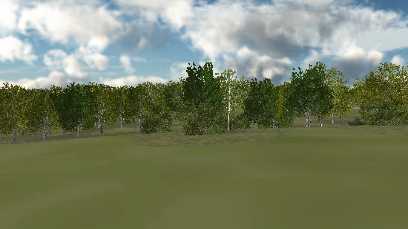 anotherforest.jpg