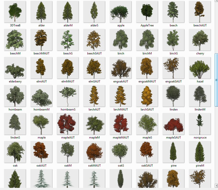 Trees_2.jpg