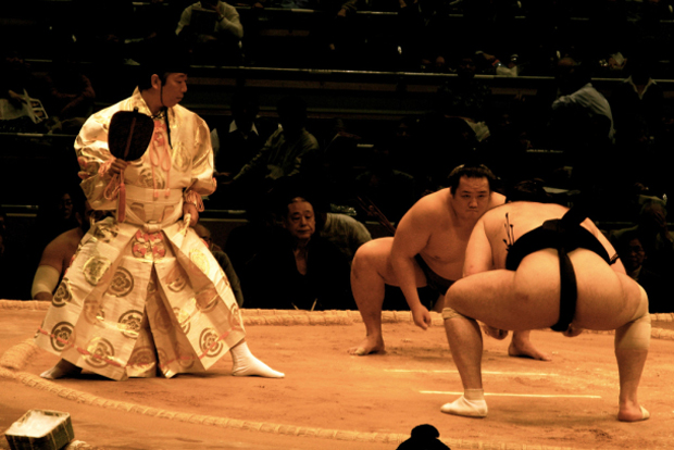sumo.jpg