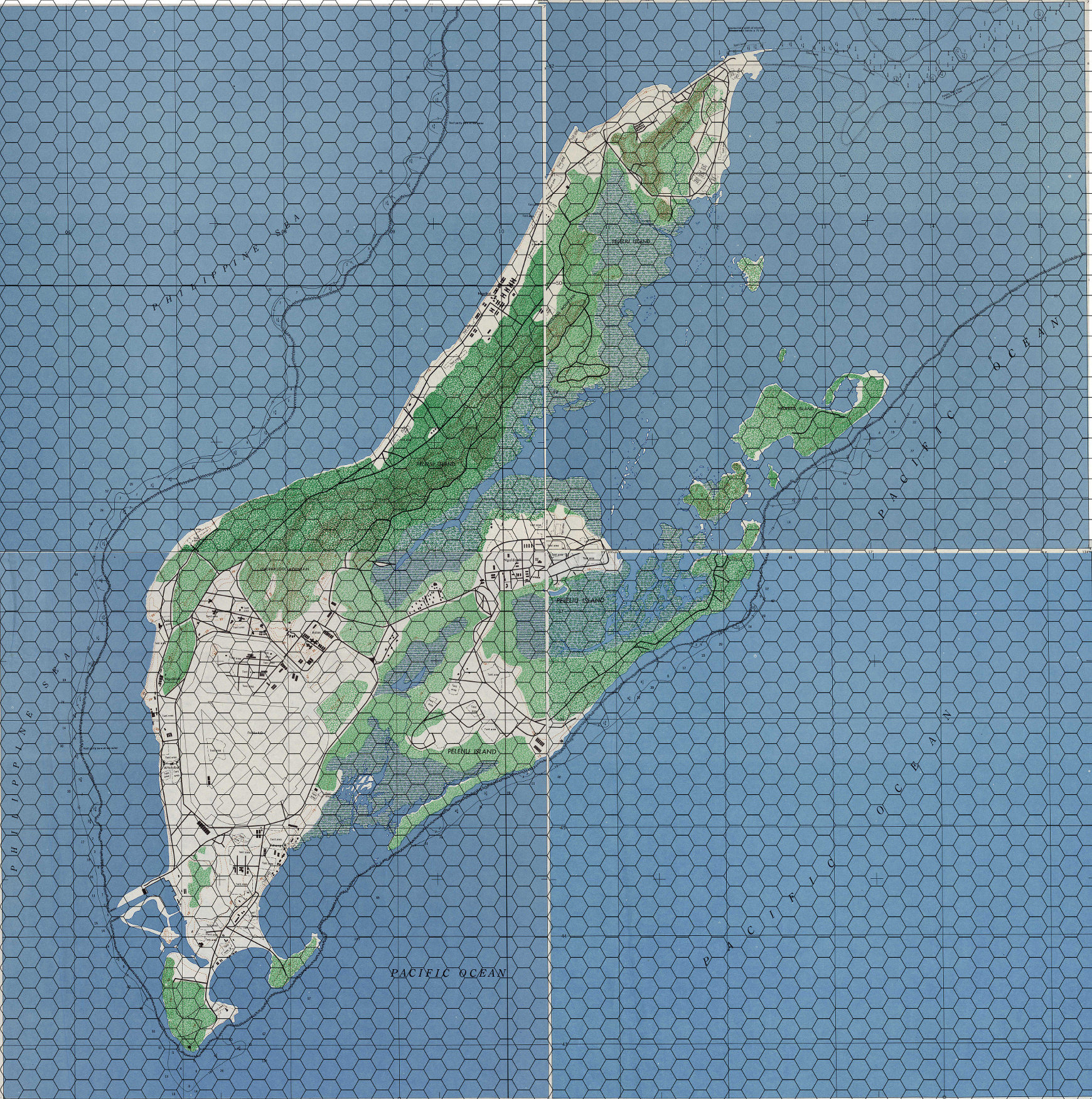 p1.jpg