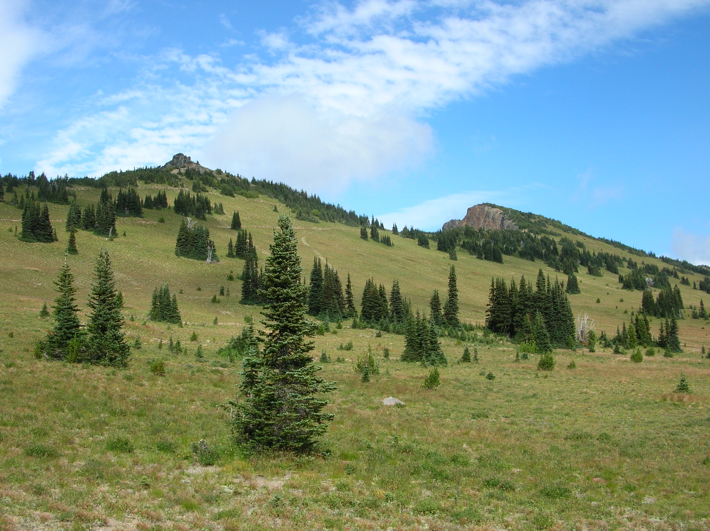 DSCN0987.jpg