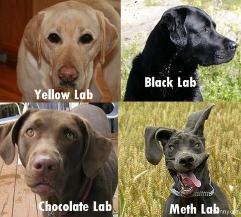 Howtoide..methlab.jpg
