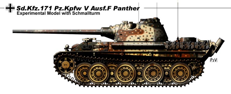 PantherF.jpg