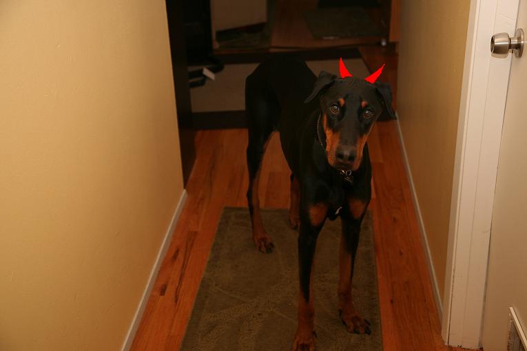 devil.jpg