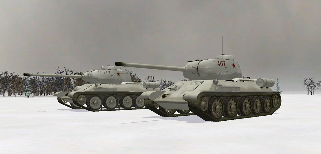 t3485.jpg