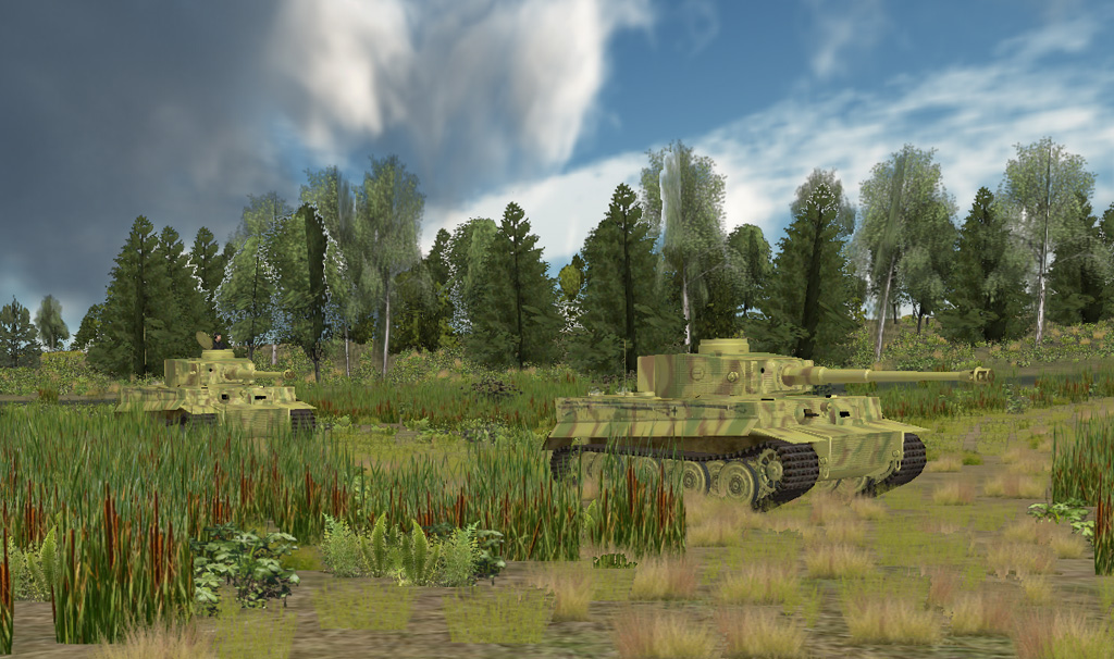 tigersintallgrass.jpg