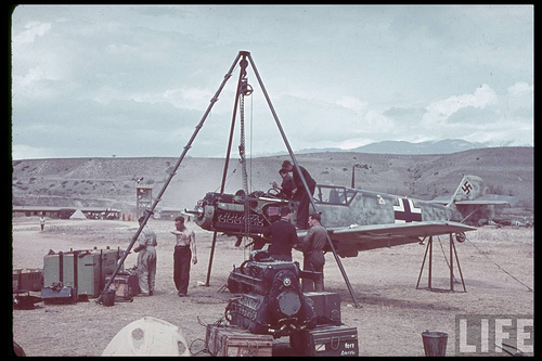 Engine cha..he field.jpg