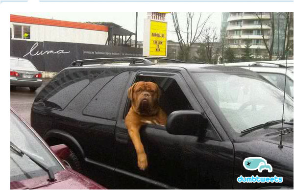 funnypic310.jpg