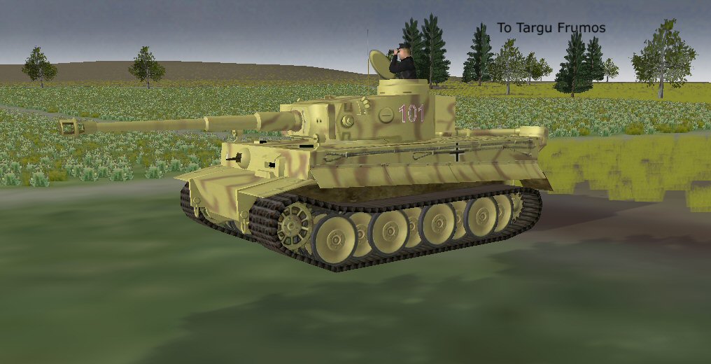 11a.jpg