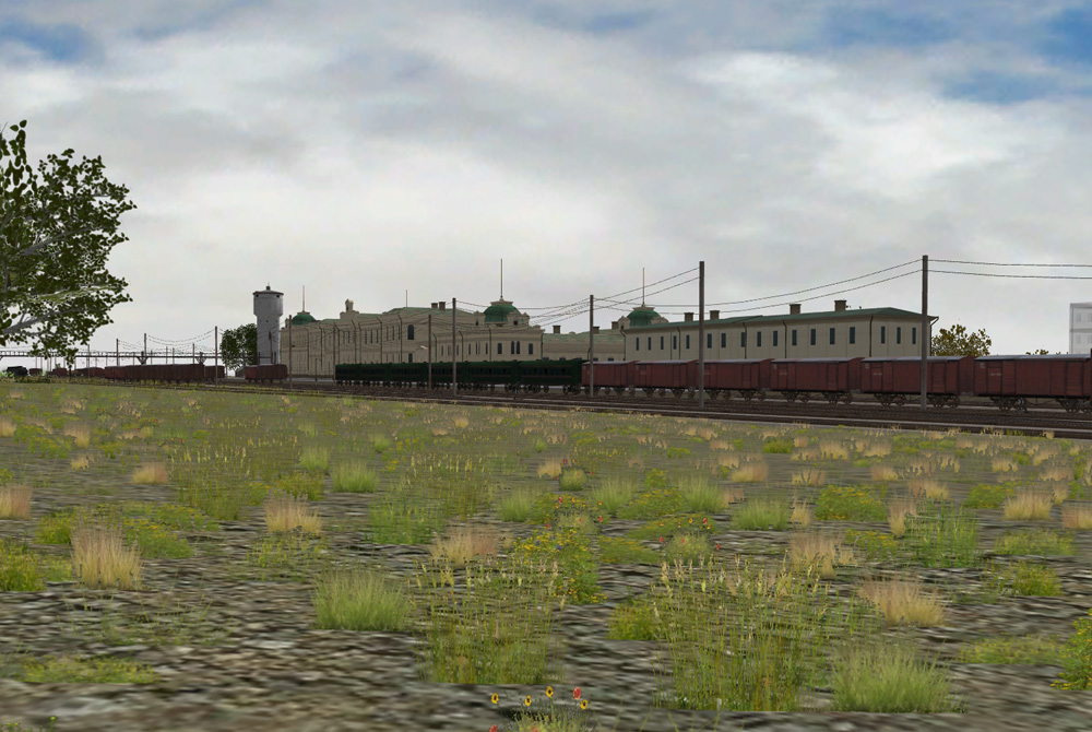 rrgrass.jpg