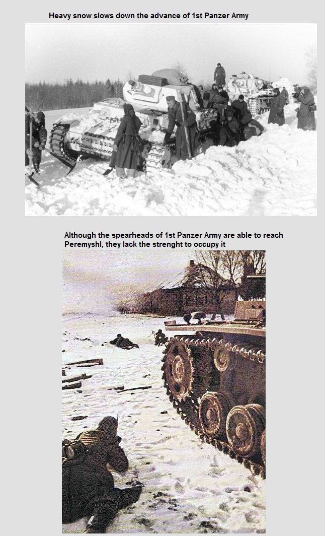 Southern Pincer.jpg