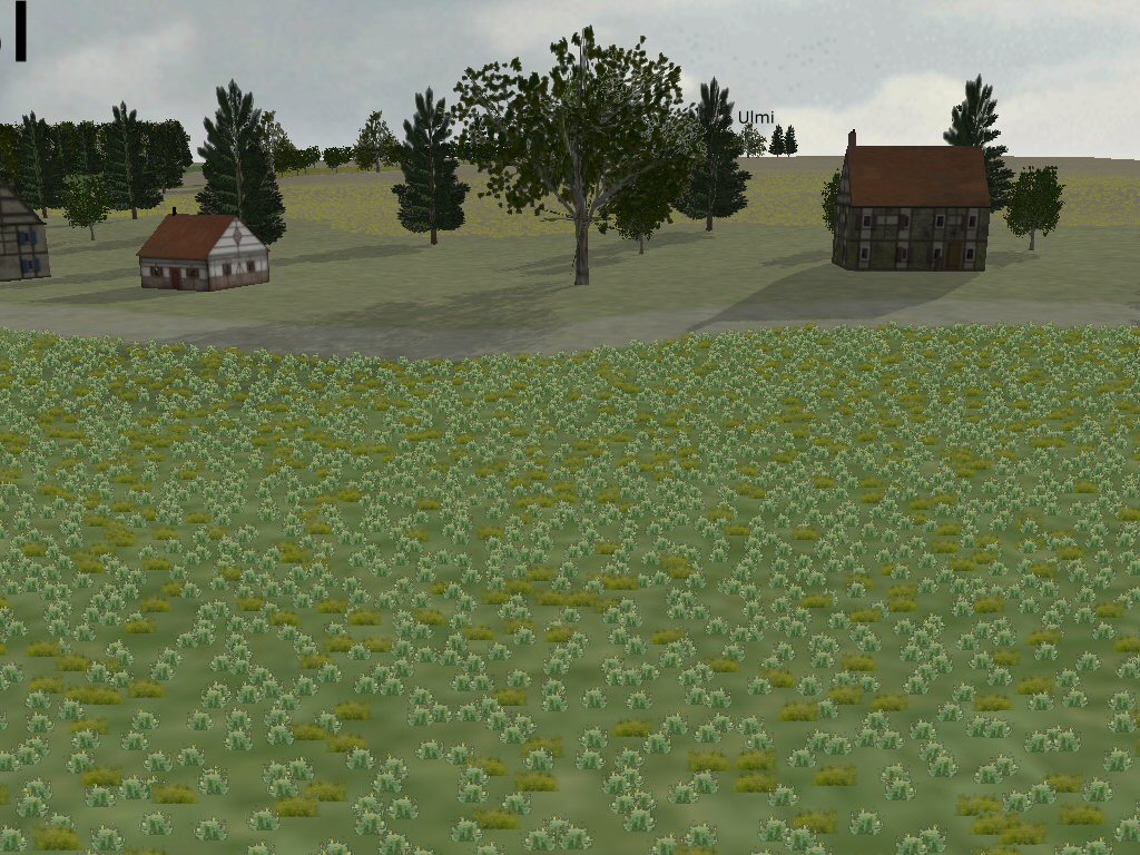 110a.jpg