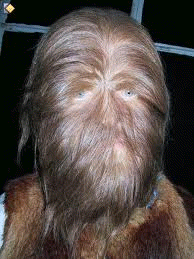 Chewy.gif