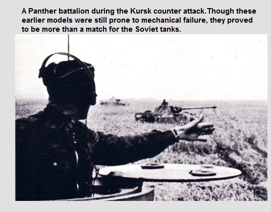 panther assaulting.jpg
