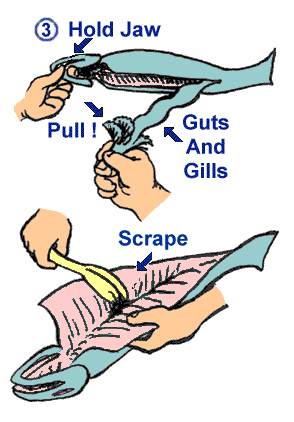 gutfish.gif