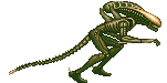alien2.gif
