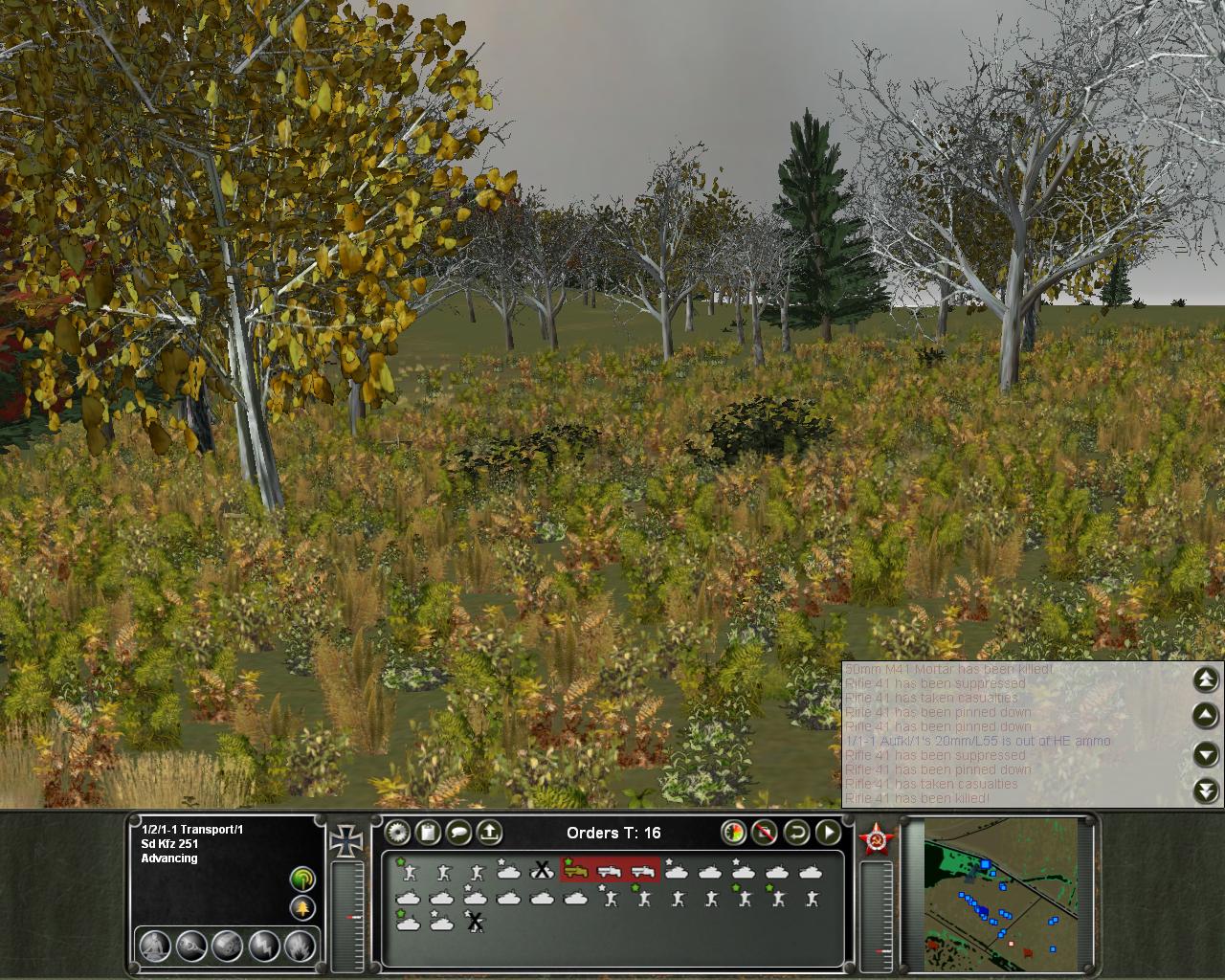 grass.jpg