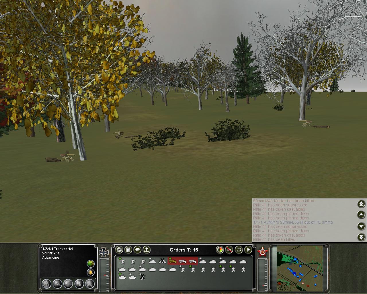 nograss.jpg