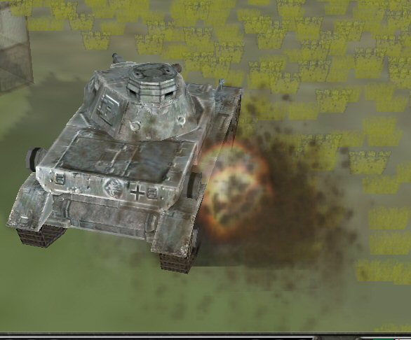 100a.jpg
