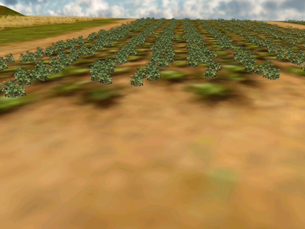 poinC_0206..1_215417.jpg