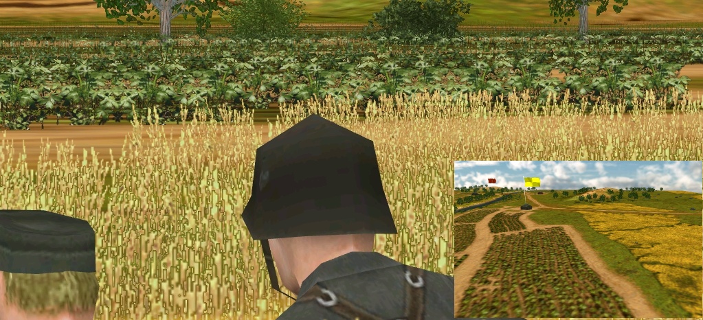 2viewsofmap.jpg