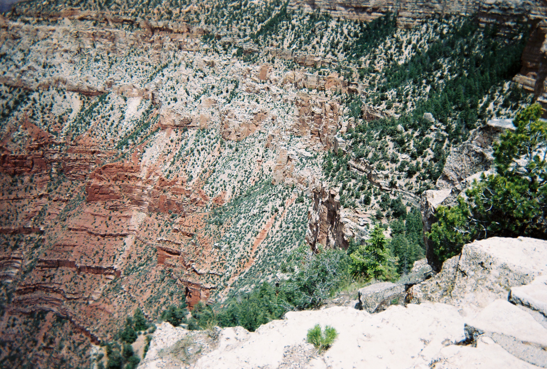 R104684019A.jpg