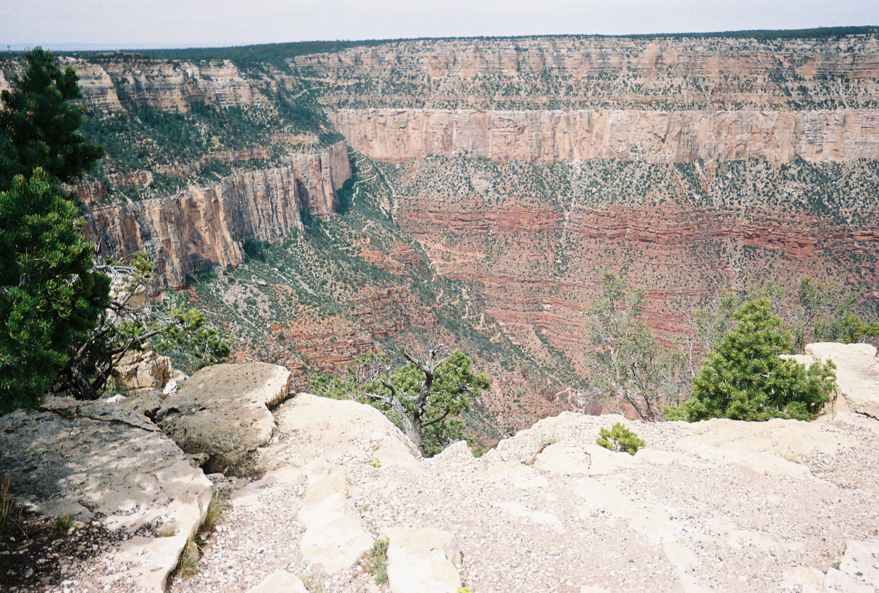 R104683009A.jpg