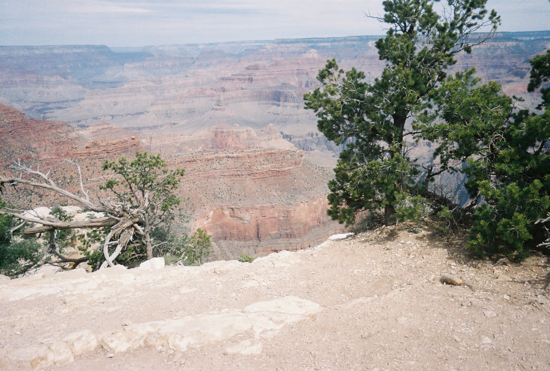 R104683012A.jpg
