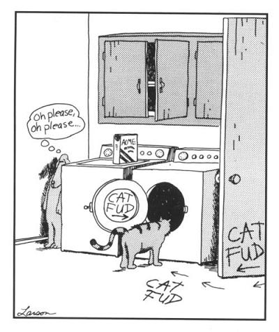catfud.jpg