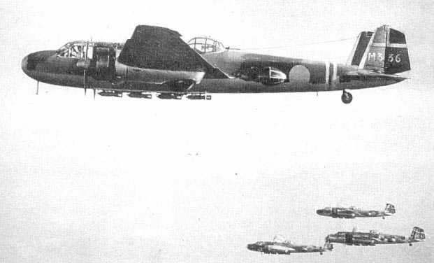 ForceZ_00737_1g.jpg