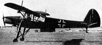 storch.jpg