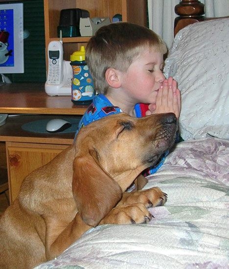 boy20and..0praying.jpg