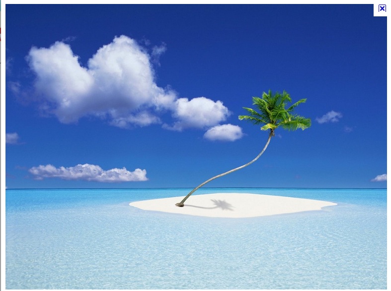 cocoisland..jpg