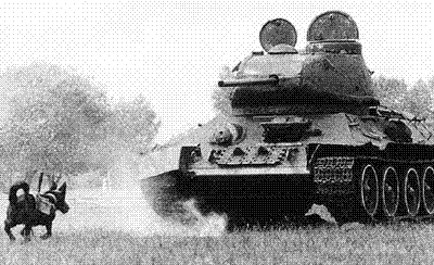 antitank_.._629x383.gif