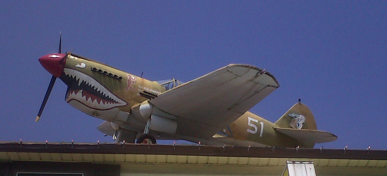 p40.jpg
