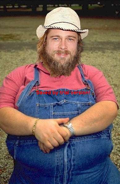 brad_pitt_..y_farmer.jpg