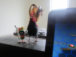 Small spy 1.jpg
