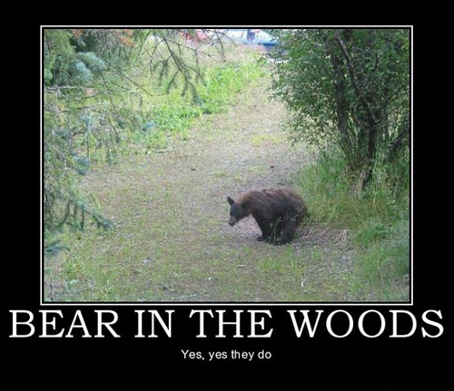 bearinthewoods.jpg
