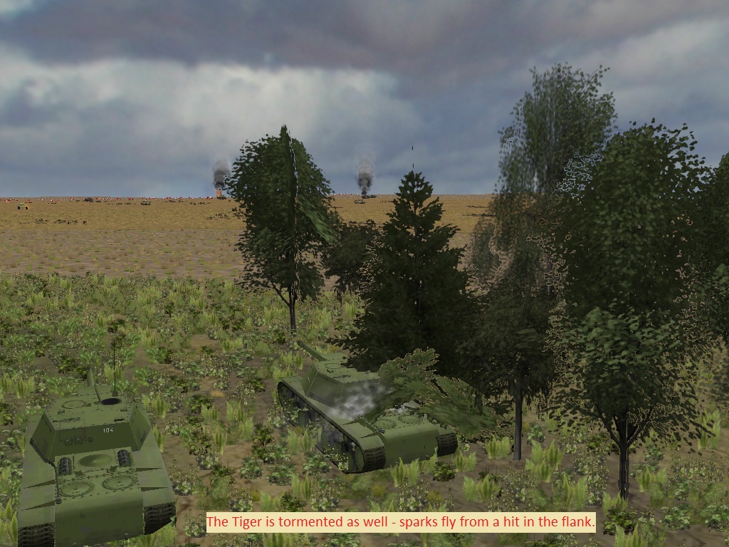 91VBKTige..32_17PM.jpg