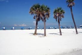 floridasnow.jpg