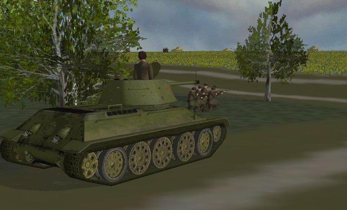 T81TC_1_J.jpg